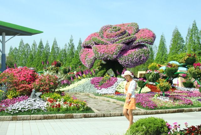 Độc đáo lễ hội hoa lớn nhất Hàn Quốc ảnh 1